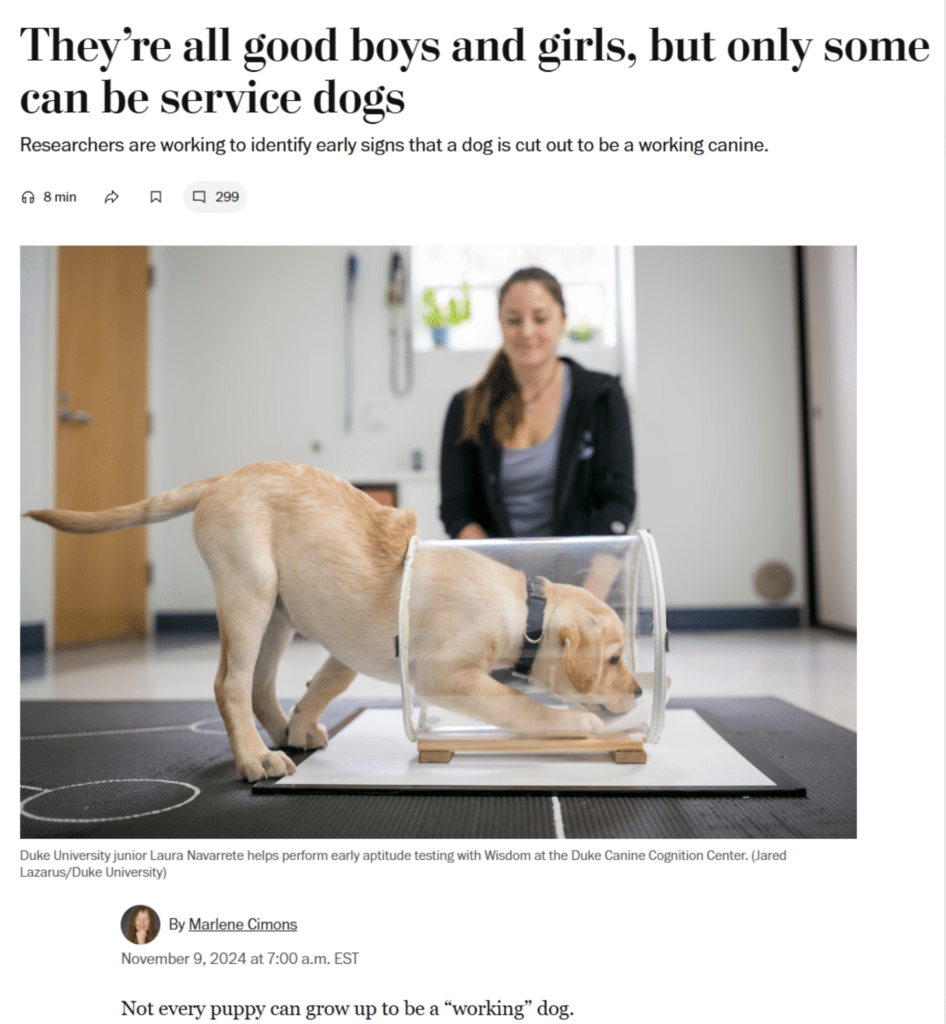 A woman observes a dog performing a task with a transparent cylinder at the Duke Canine Cognition Center.